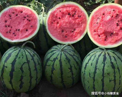娱乐吃瓜酱择偶不看脸,心灵契合才是真——娱乐吃瓜酱择偶新标准
