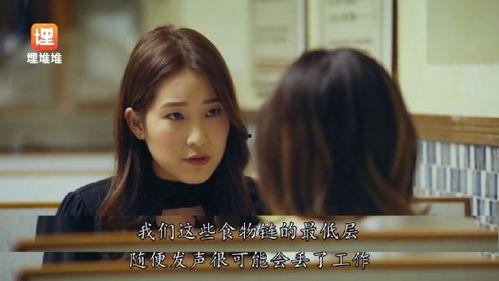 吃瓜娱乐圈类小说,瓜田里的明星秘闻