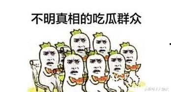 娱乐吐槽吃瓜群众,吃瓜群众热议，明星们如何应对“瓜田”风波