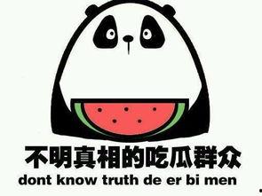 吃瓜群众笑娱乐,娱乐界的欢乐盛宴