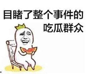 娱乐吃瓜喵不务正业版,揭秘明星不务正业背后的秘密