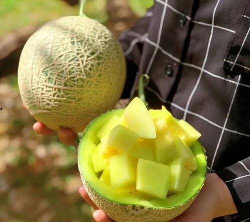 娱乐圈什么真瓜可以吃,那些你绝对不能错过的真实瓜料！