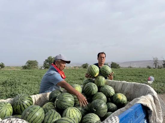 娱乐713吃瓜最新入口,最新入口带你一网打尽娱乐圈风云