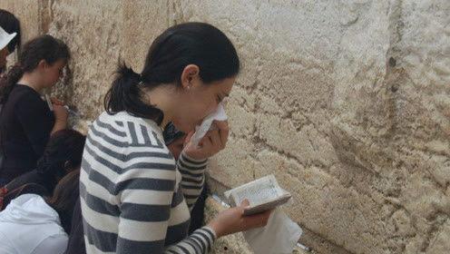 娱乐吃瓜君 网红是谁,网红背后的故事