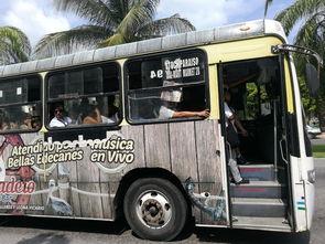 娱乐吃瓜酱坐公交车,揭秘明星幕后趣事