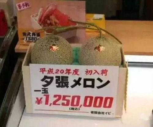 娱乐吃瓜汇,揭秘娱乐圈最新热点事件