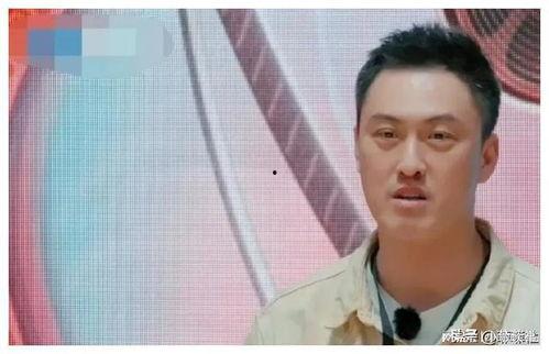 娱乐圈吃瓜爆料君是谁,揭秘幕后真相的神秘人物