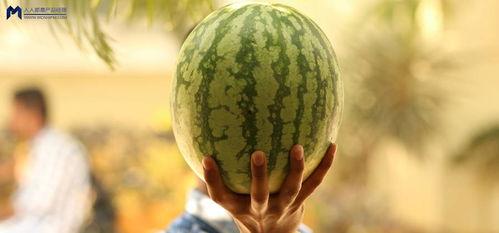 娱乐最新吃瓜事件,揭秘明星隐私风波