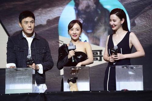 娱乐圈吃瓜爆料合集网盘