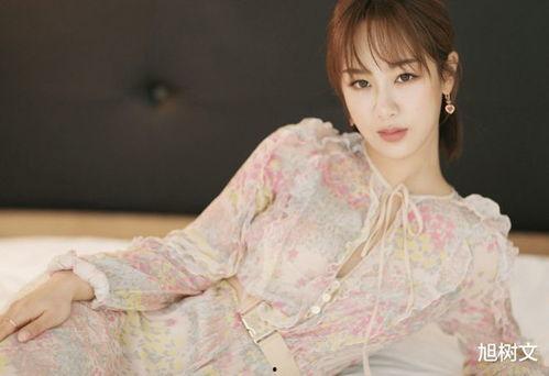 杨紫娱乐圈吃瓜